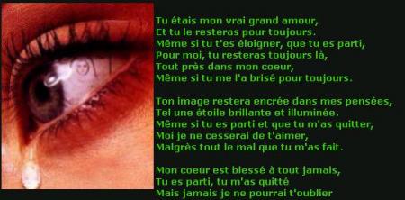 Tu �tais mon vrai grand amour